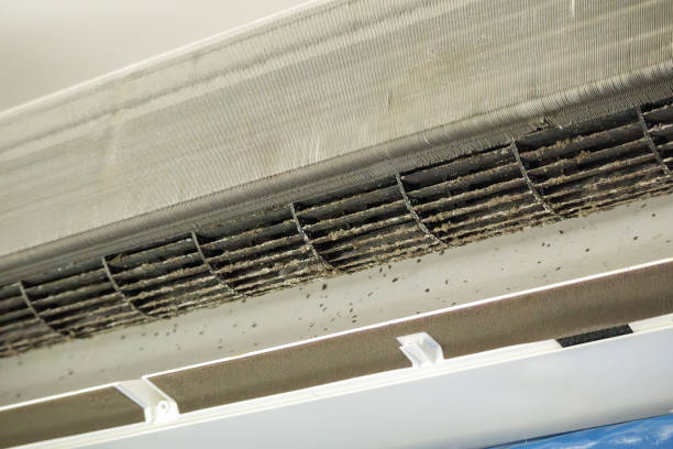 Best Duct Cleaning for Homes  in Eagle Butte, SD